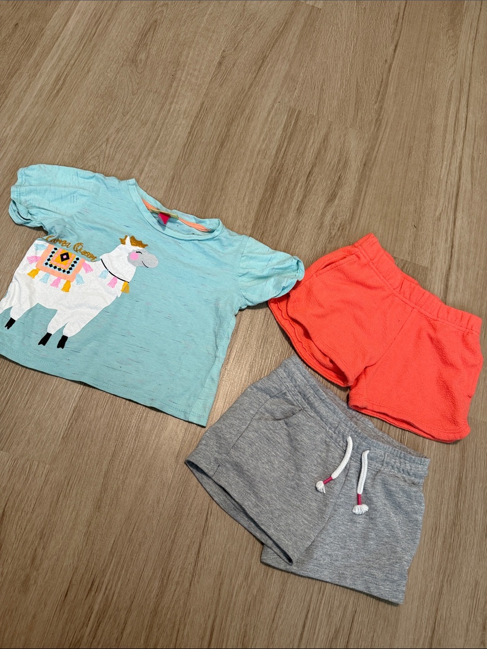 Llama Graphic Short Sleeve Tee